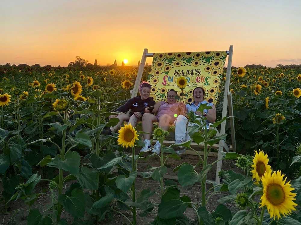 Giant deckchair at Sam's sunflower field